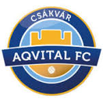 Budafoki MTE